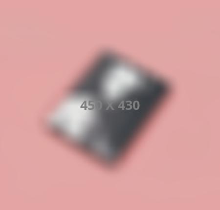 Portfolio Item